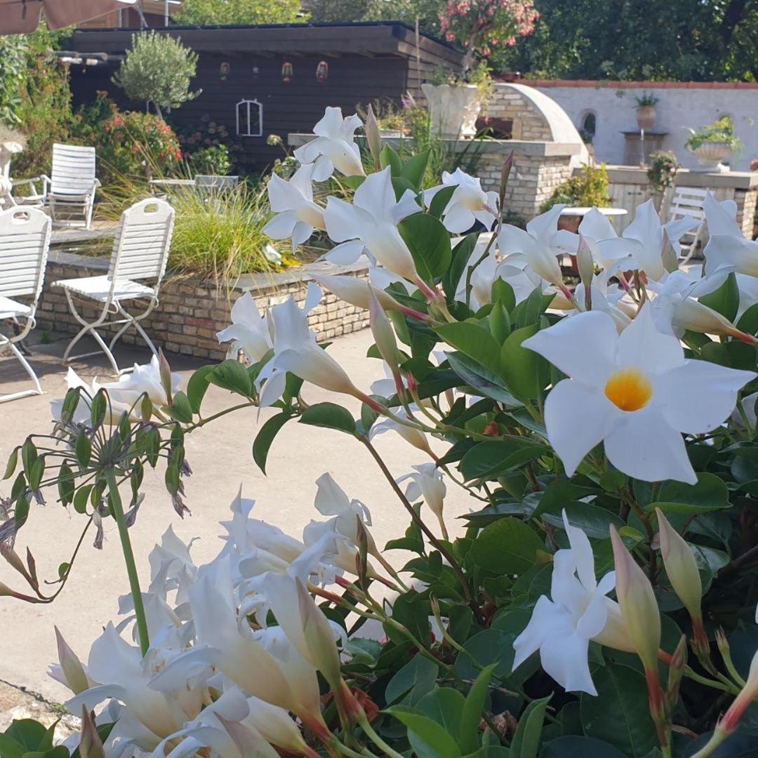 B&B Welgelegen Workum Luaran gambar